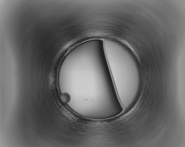 X0000116880922200912220941
