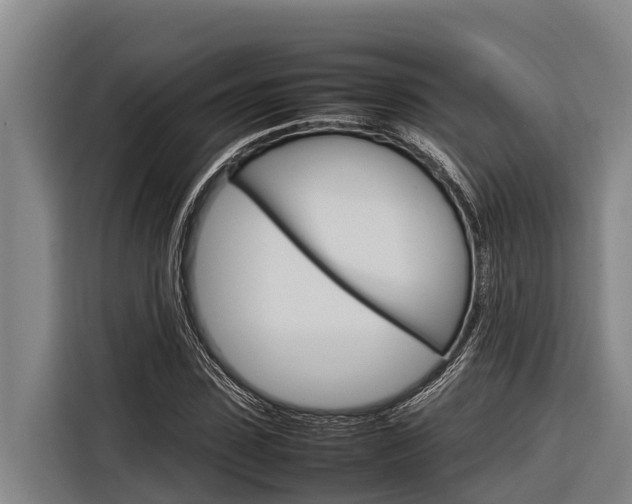 X0000116880923200912220941