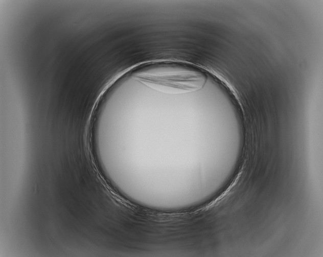 X0000116880925200912220941