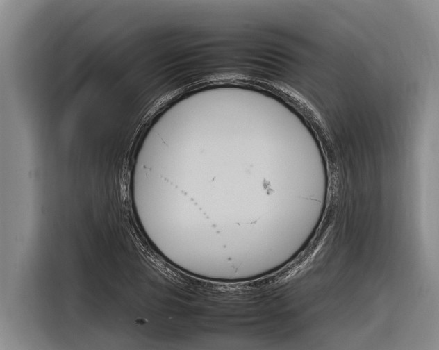X0000116880929200912220941