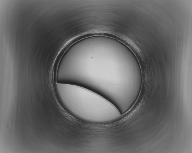 X0000116880934200912220941