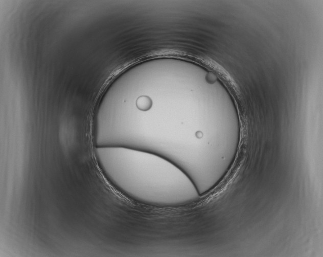 X0000116880937200912220941