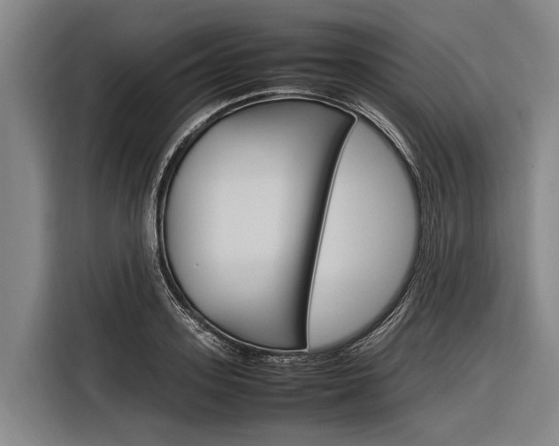 X0000116880939200912220941