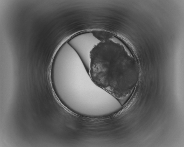 X0000116880941200912220942