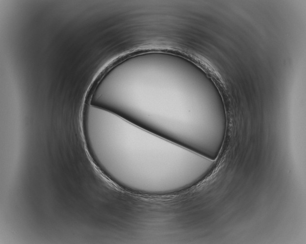 X0000116880942200912220942