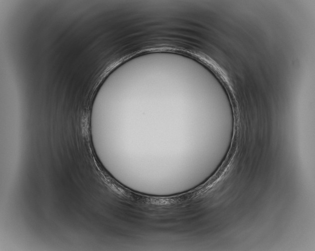 X0000116880945200912220942