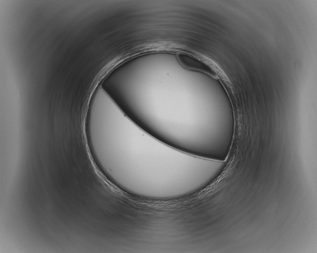 X0000116880946200912220942