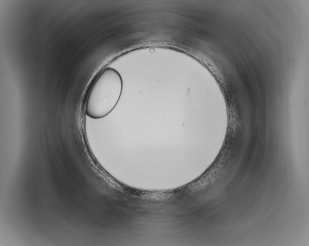 X0000116880950200912220942