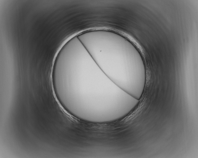 X0000116880951200912220942