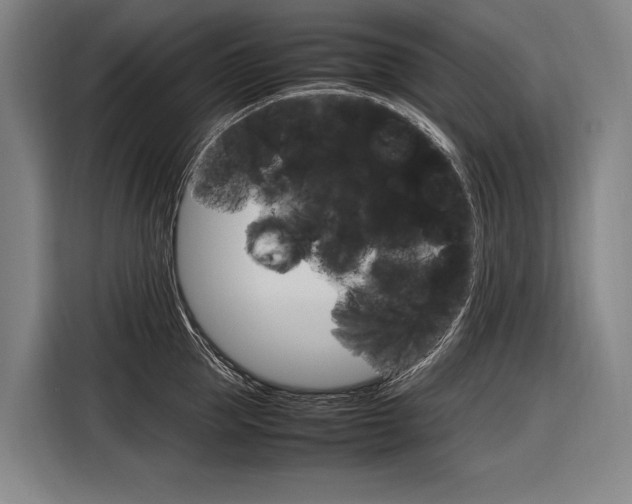 X0000116880953200912220942