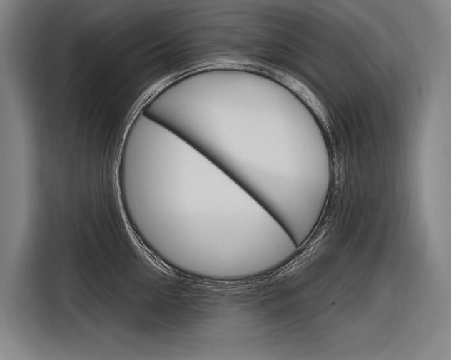 X0000116880954200912220942