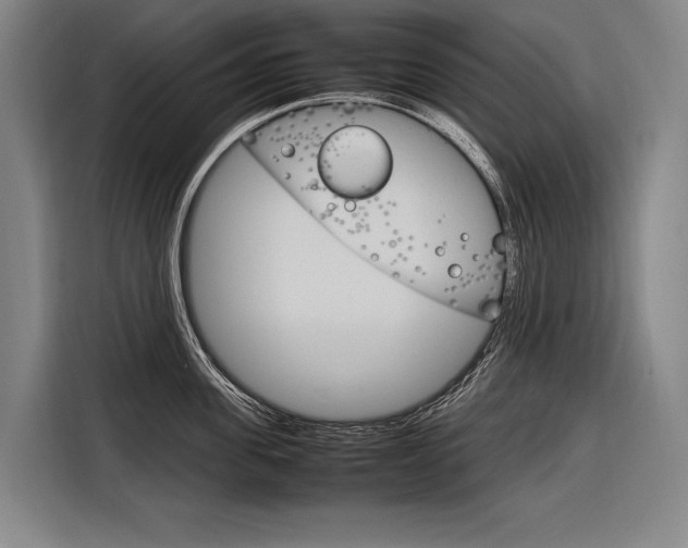 X0000116880955200912220942