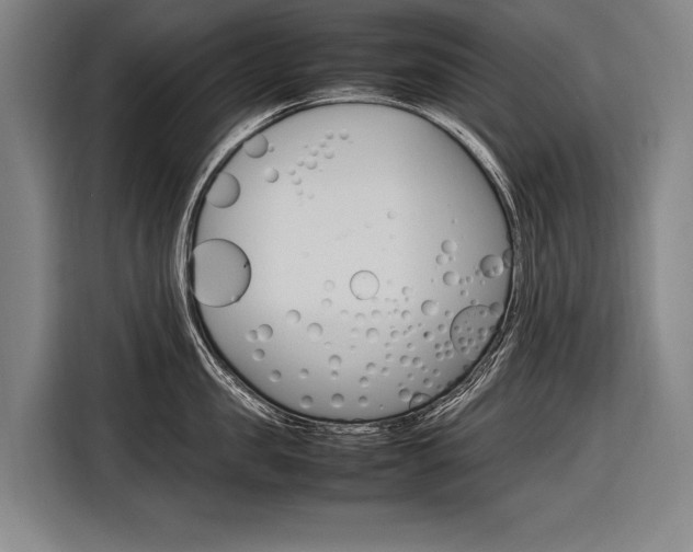 X0000116880957200912220942