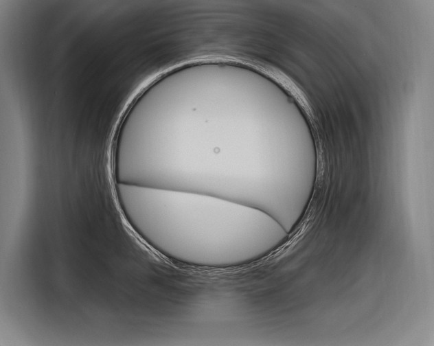 X0000116880958200912220942