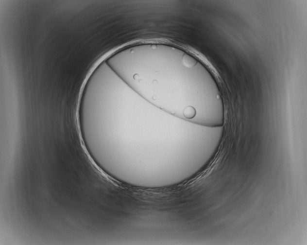 X0000116880959200912220942