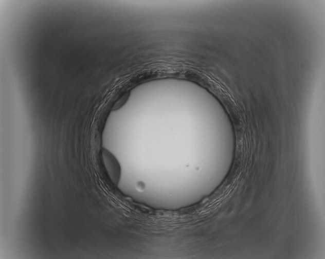 X0000116880961200912220941