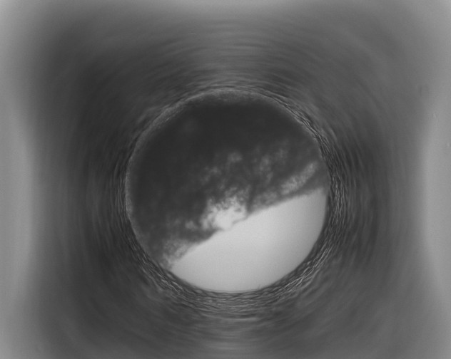 X0000116880962200912220941