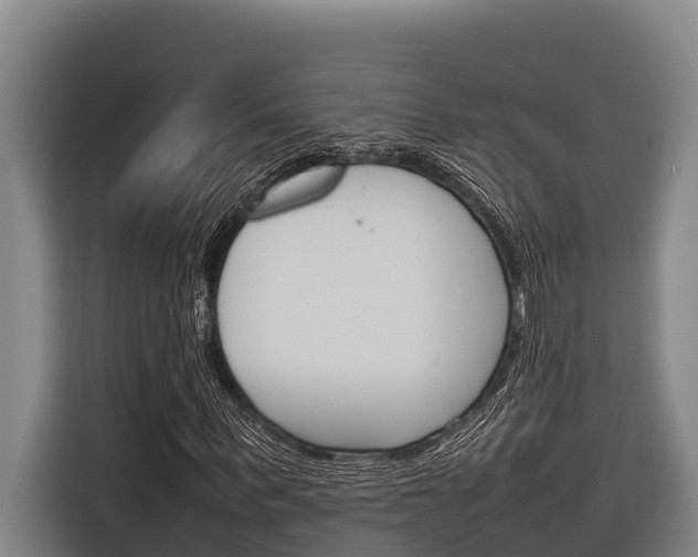 X0000116880963200912220941