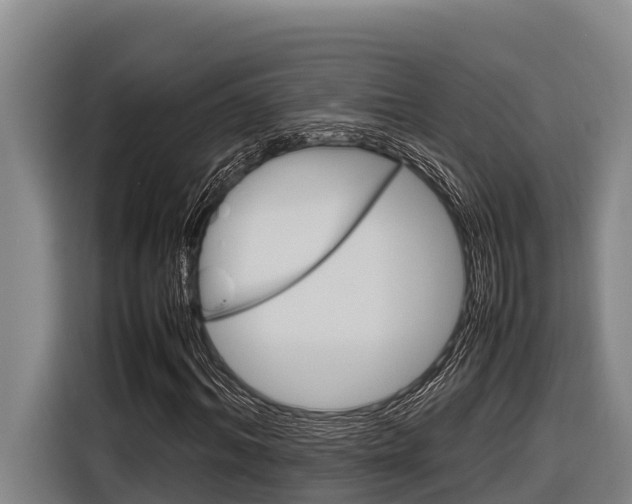 X0000116880964200912220941