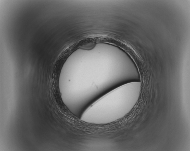 X0000116880967200912220941