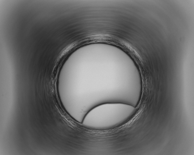 X0000116880970200912220941