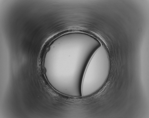 X0000116880971200912220941