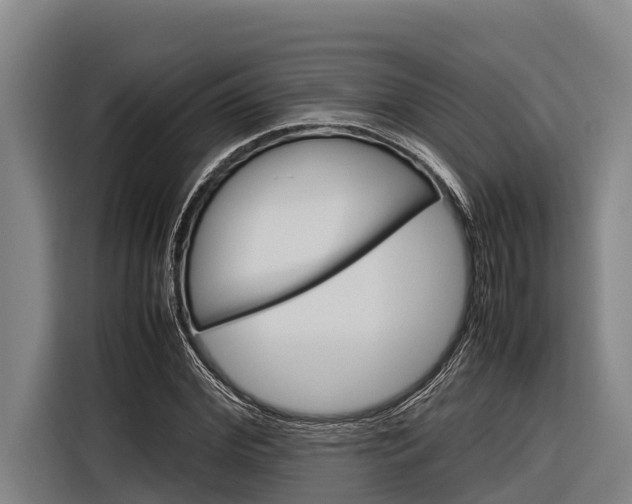 X0000116880972200912220941