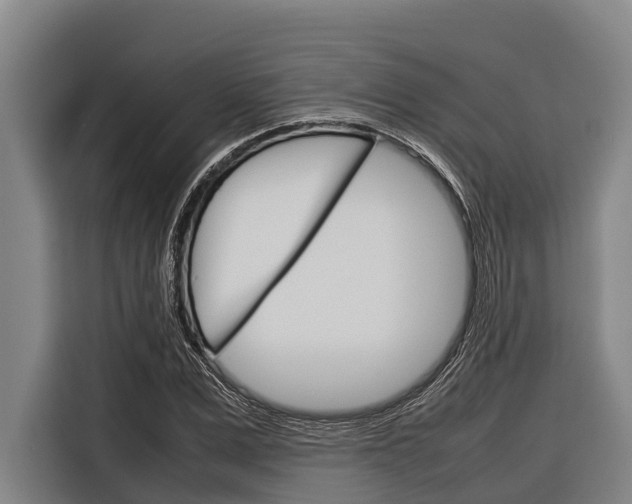 X0000116880975200912220941