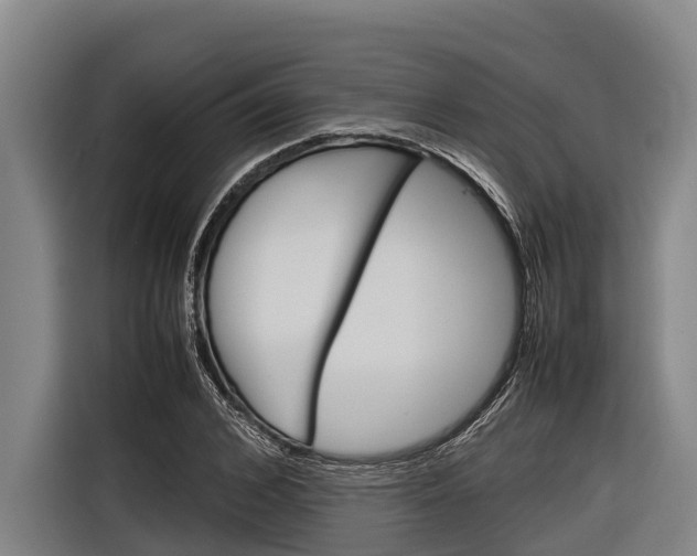 X0000116880976200912220941