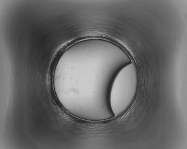 X0000116880979200912220941