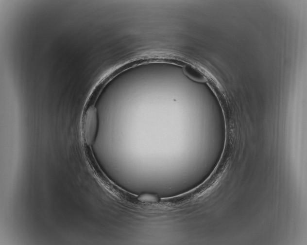 X0000116880981200912220941