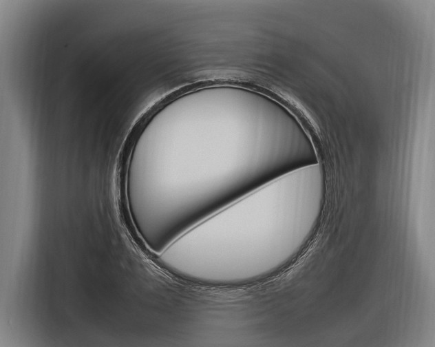 X0000116880983200912220941