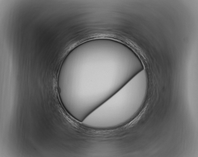 X0000116880985200912220941