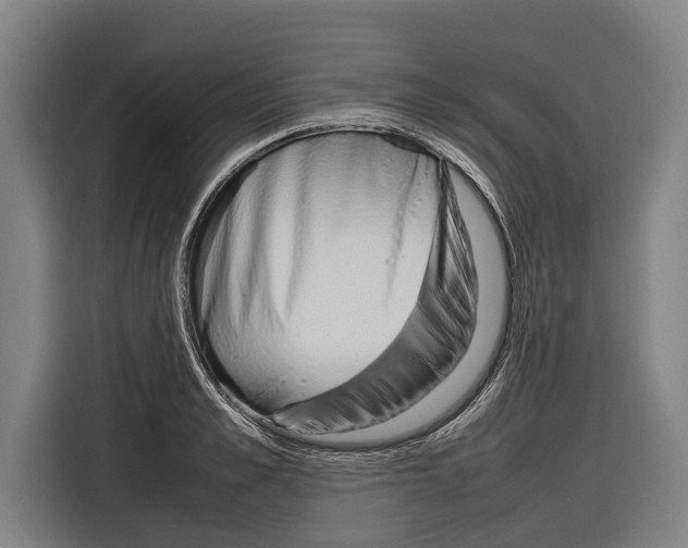 X0000116880989200912220941