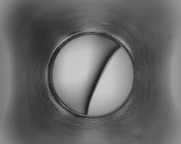 X0000116880991200912220941