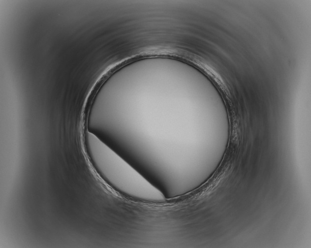 X0000116880992200912220941