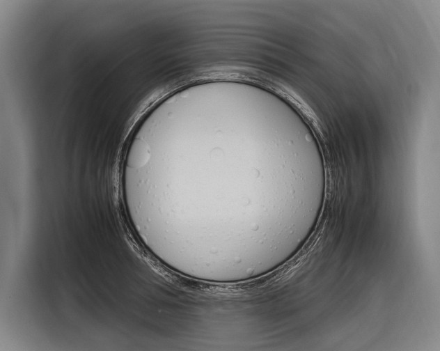 X0000116880994200912220941