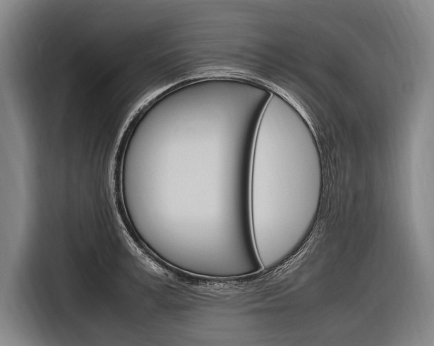 X0000116880995200912220941