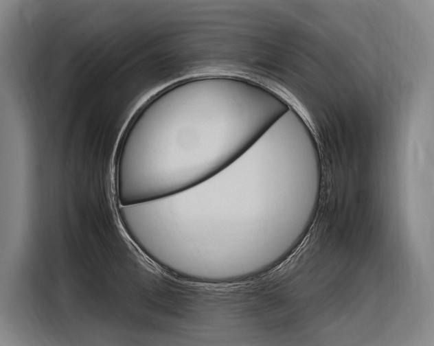 X0000116880996200912220941