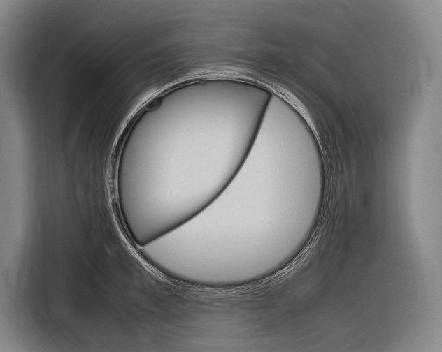 X0000116880997200912220941