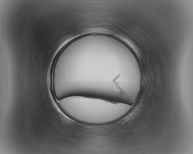 X0000116880999200912220941