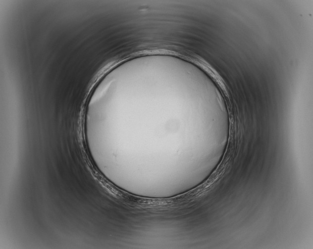 X0000116881002200912220941