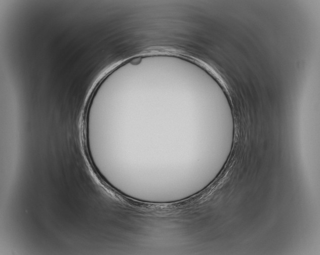 X0000116881003200912220941