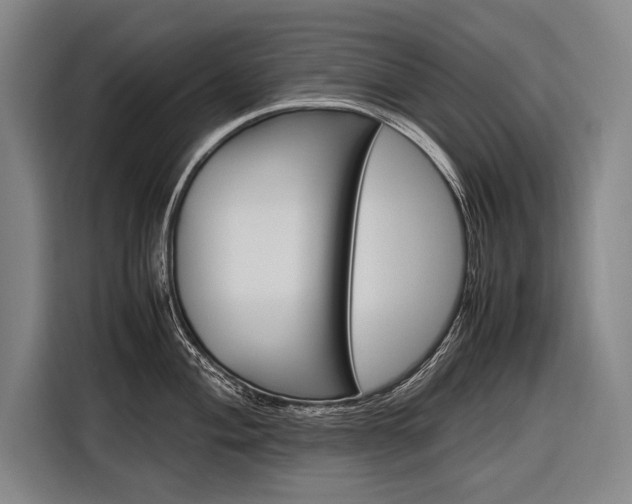 X0000116881004200912220941