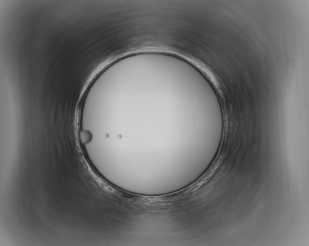 X0000116881006200912220941