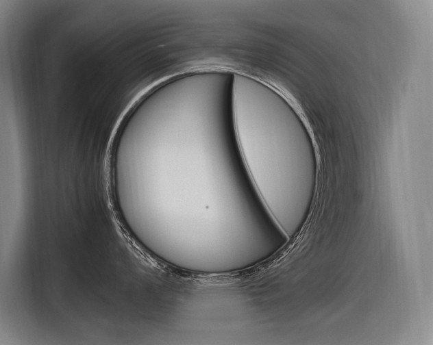 X0000116881008200912220941