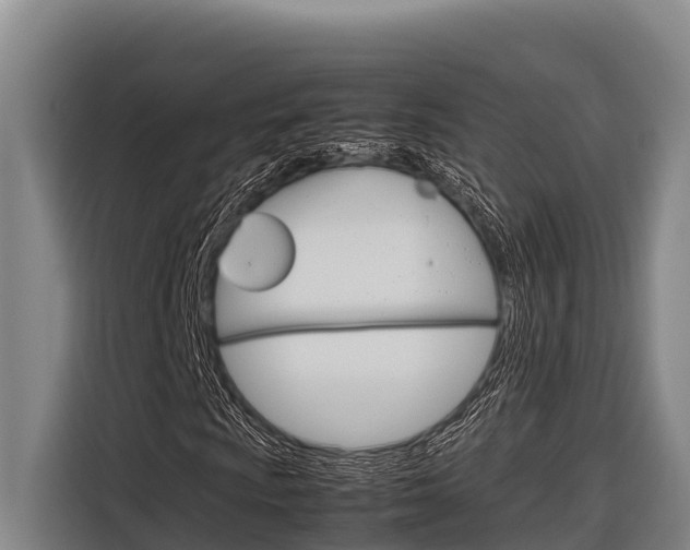 X0000116881009200912220940