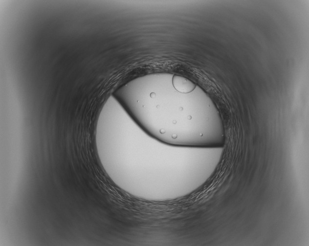 X0000116881010200912220940