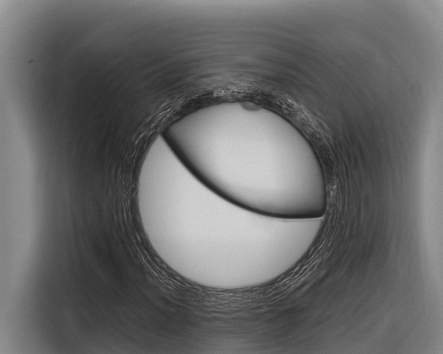 X0000116881012200912220940