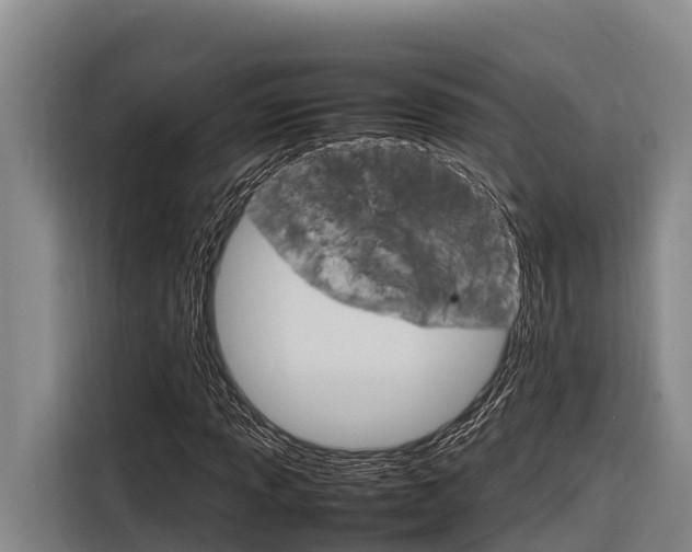 X0000116881013200912220940
